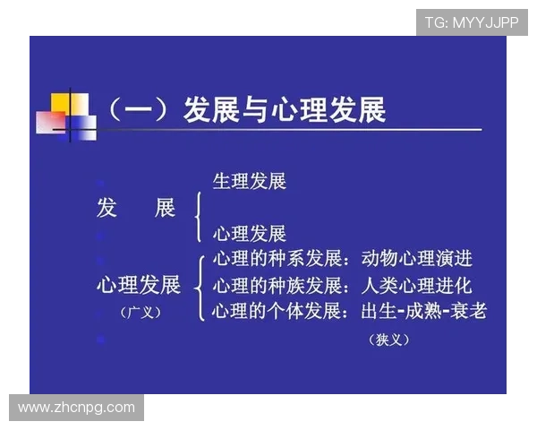 PG包包官方网站用户评价与售后服务详解帮助你安心购物无忧